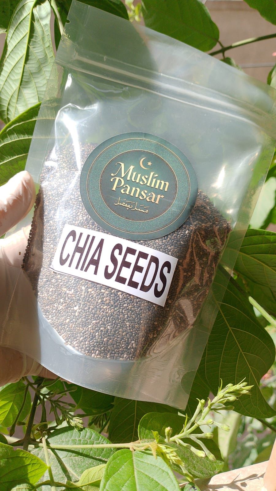 Chia seeds By Muslim Pansar
